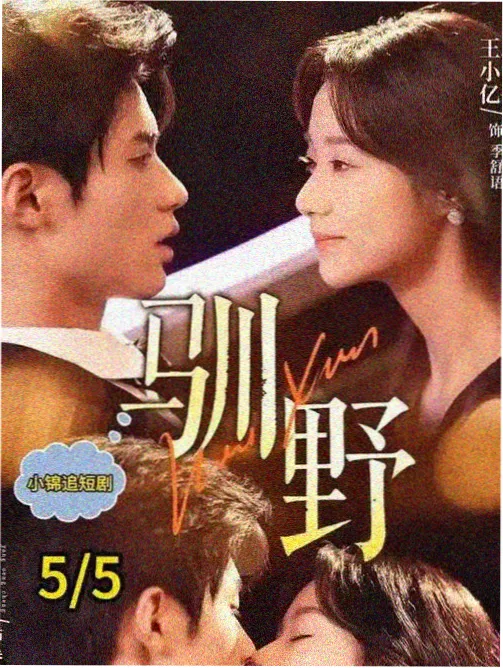 听雪楼外传 古装剧